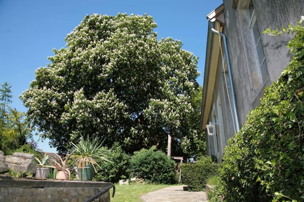 Haus Keppelborg: Zi Ferdinand Mit Rosengartenblick Heek Екстер'єр фото